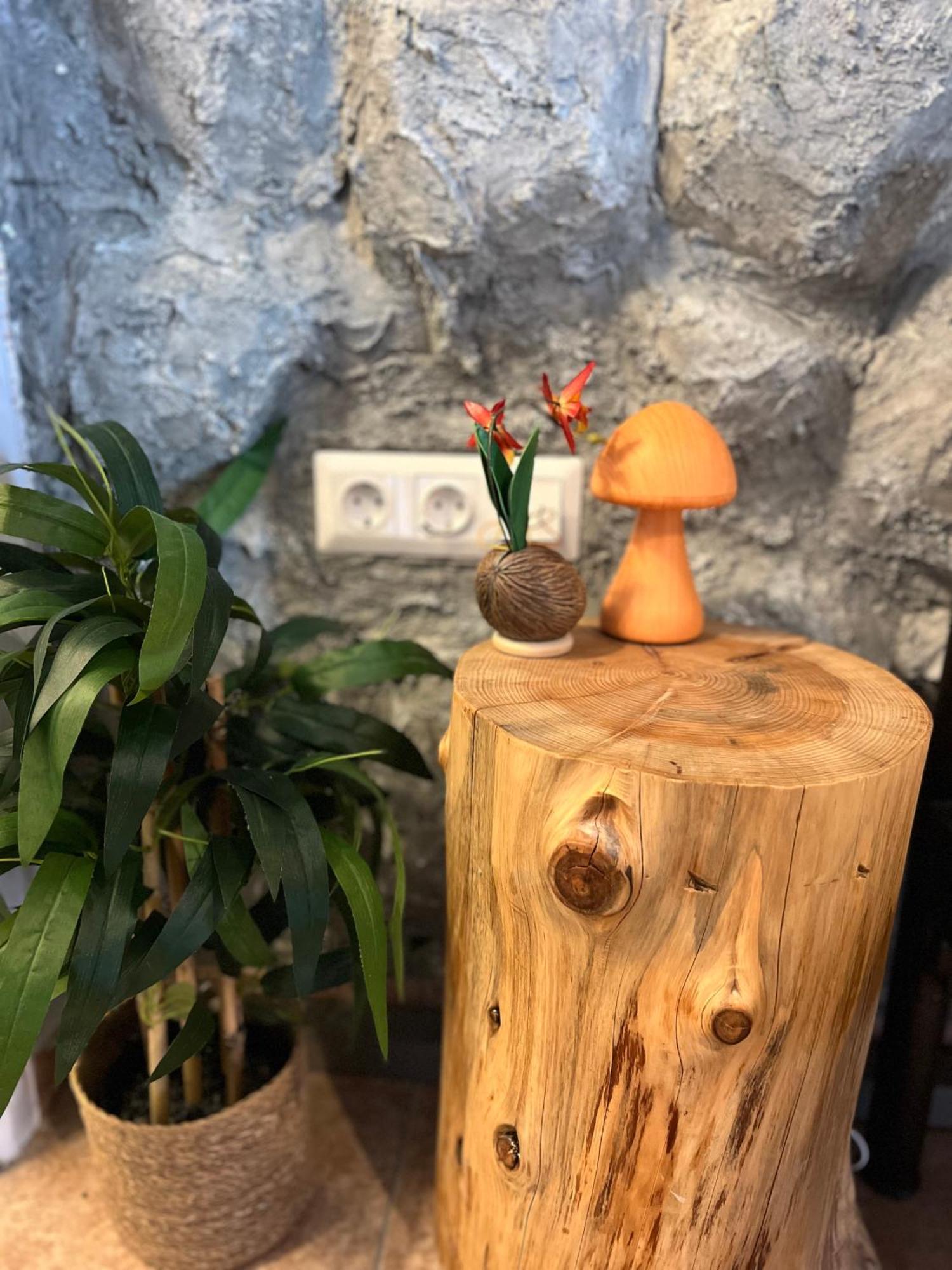 35sm In Kanoni Next To Mon Repo And Pontikonisi *